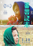 星际探险家：探索宇宙的无限可能性